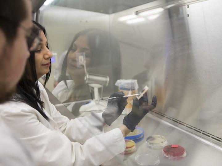 Dr. Malik and student wearing lab coat and gloves using agar plates and inoculating loop bacto incinerators